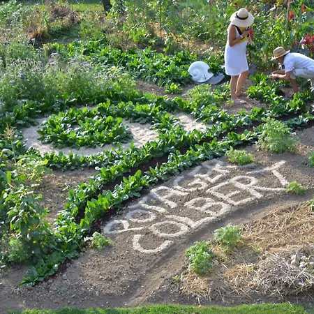 Chateau Colbert Отель