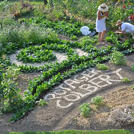 Chateau Colbert מלון 3*