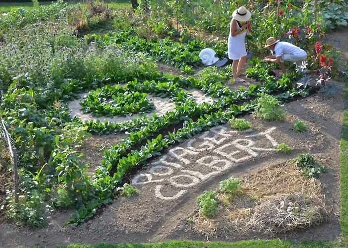 Chateau Colbert מלון